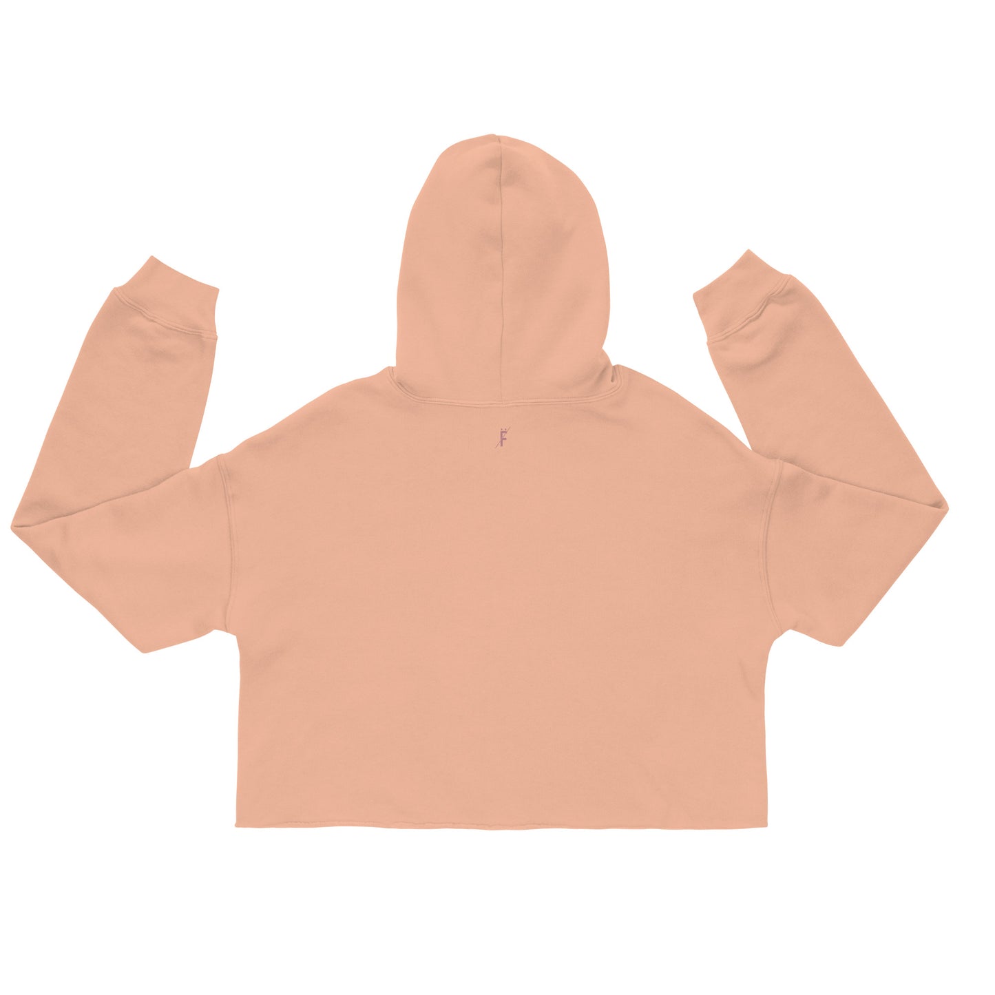 NE Crop Hoodie